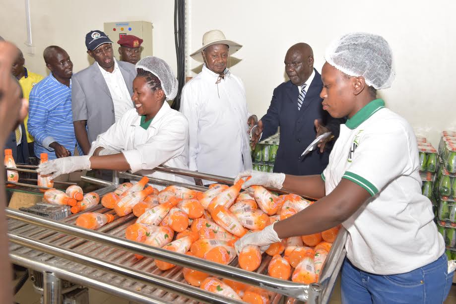 Engage in Modern, Profit Oriented Agriculture – Museveni Urges