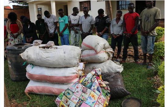 Rwanda: Police Operations Arrest 18 Drug Dealers