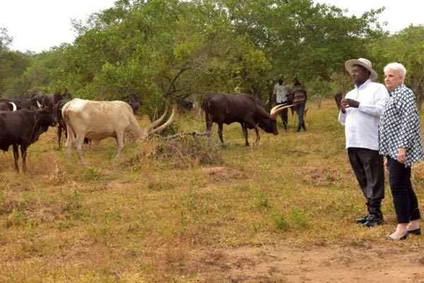 Six Jailed for Three Years for Stealing from Museveni’s Farm