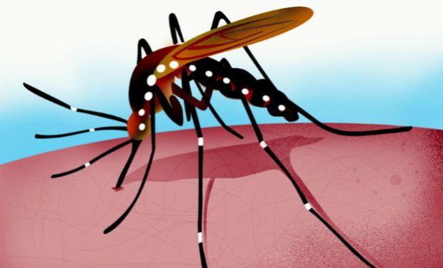 Malaria Vaccine to be Rolled out in Kenya
