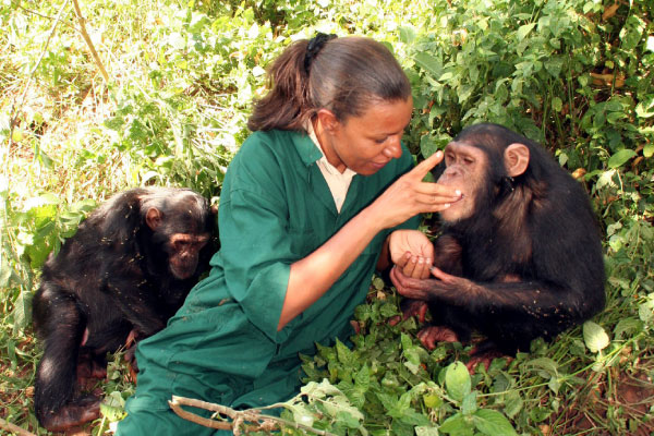 Chimpanzee Trust to Celebrate First Ever World Chimpanzee Day on July 14th