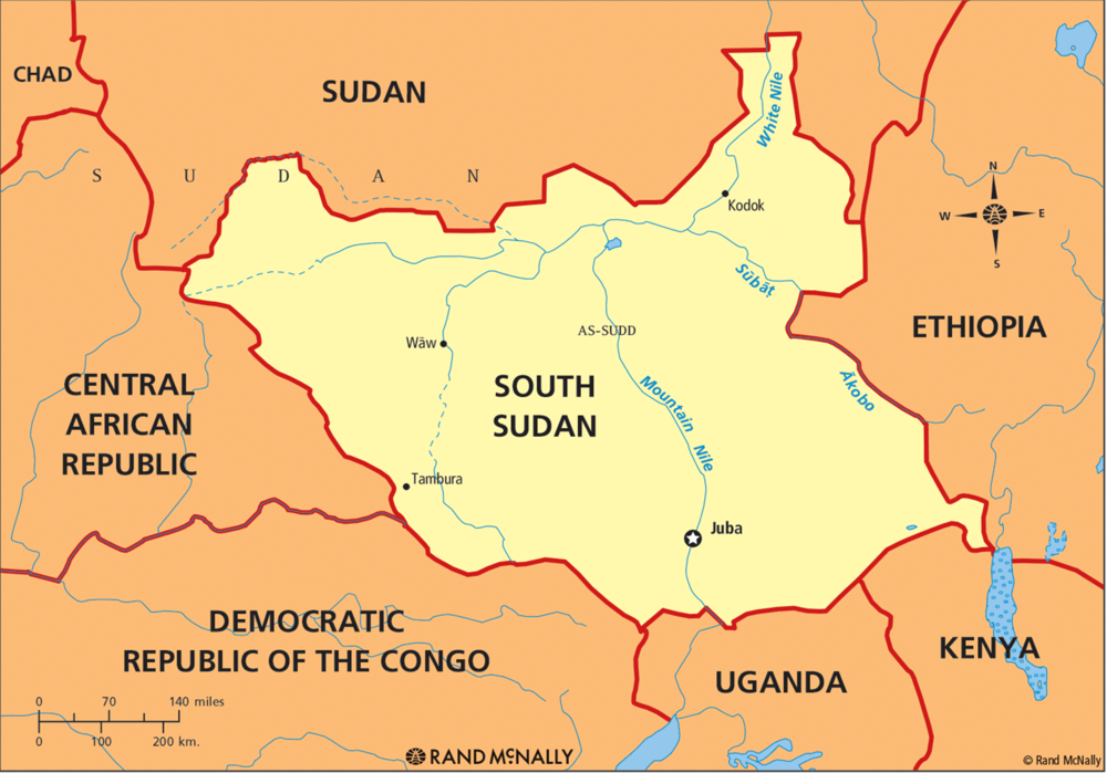 Panic as South Sudan Chief Collapses Dead