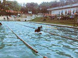 Makerere University Student Dies in Swimming Pool
