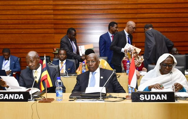 Museveni, IGAD Leaders Discuss Locust Invasion at AU Summit