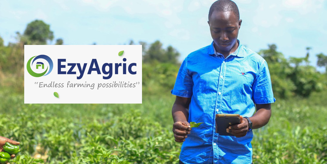 EzyAgric App: Making Farming Easier Amid COVID19 Crisis