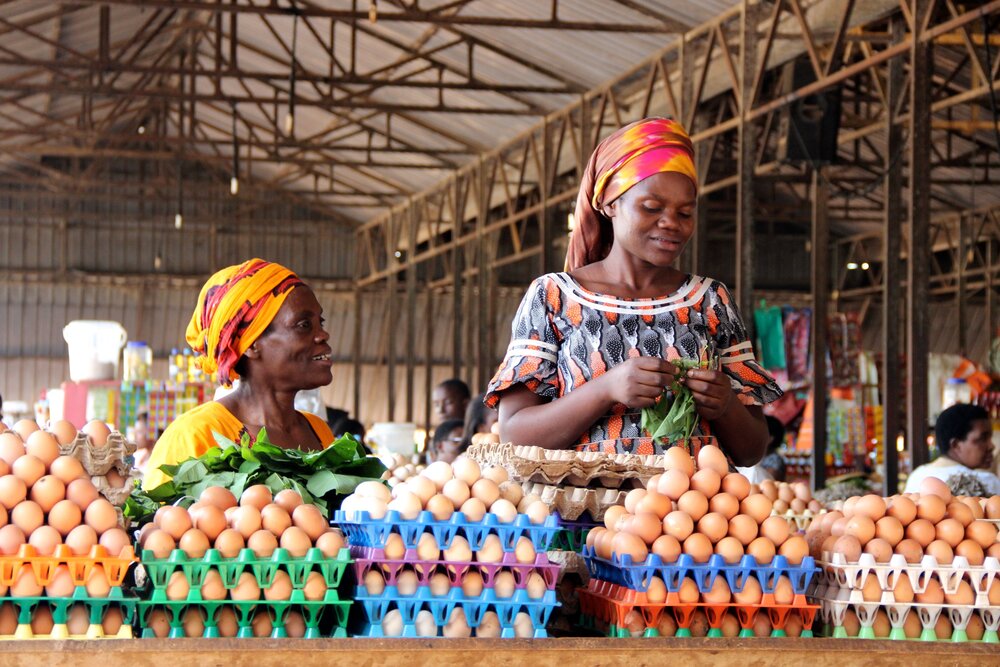 EU Partners with Tony Elumelu Foundation in Economic Empowerment of African Women