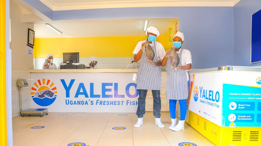 Fish Lovers to Enjoy 7 Days of Yalelo Christmas Offer