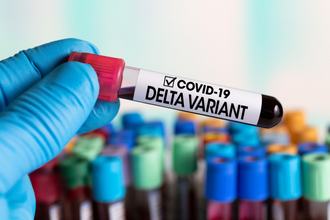 Delta Covid19 Variant Detected in 96 Countries Globally