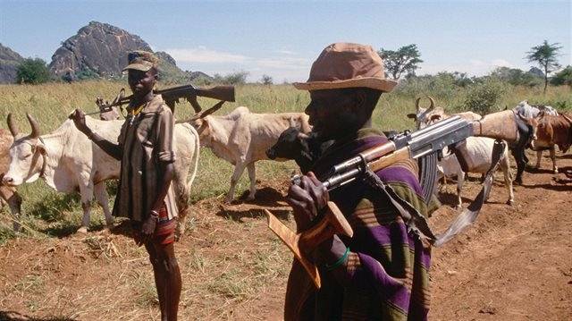 Security Forces Kill 20 Cattle Rustlers in One Week