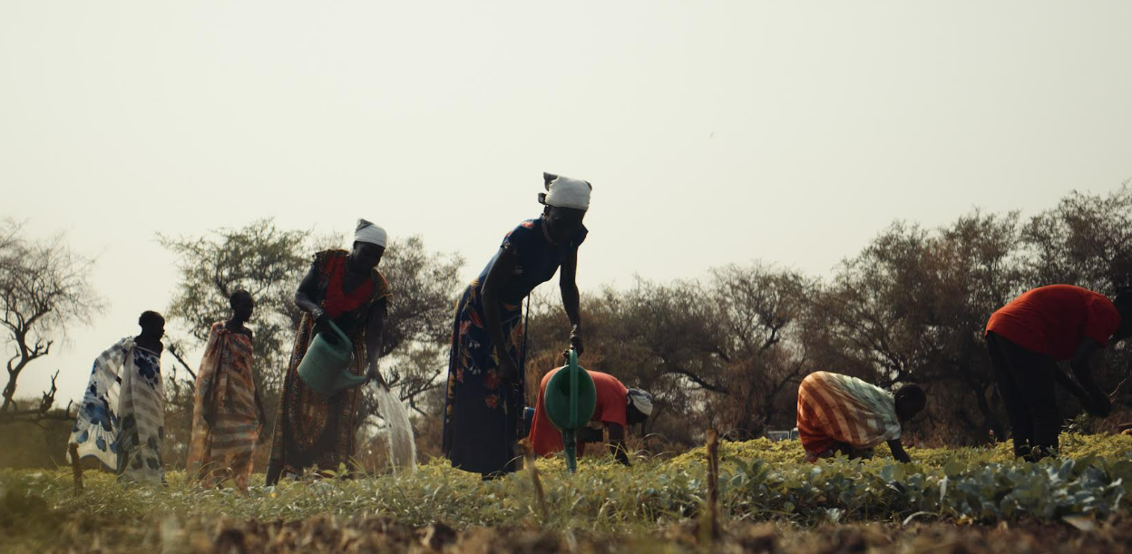 Farmers in South Sudan on a Path to Success