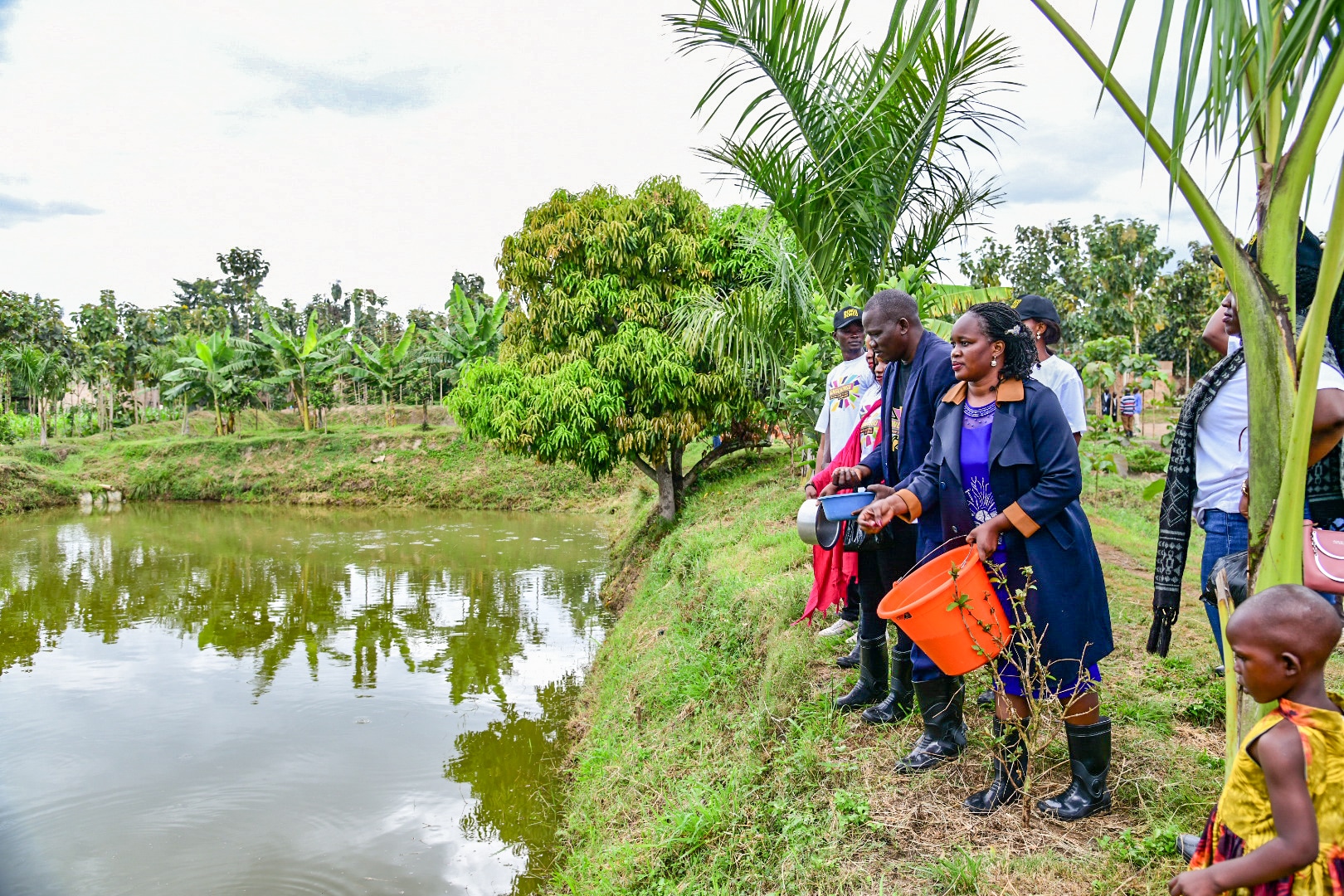 Bongobongo Uganda Injects Shs500M Into Dewilo Fish Farm