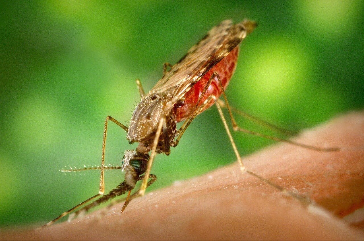 New Report by The Global Fund Shows Need to Redouble Efforts to End Malaria by 2030
