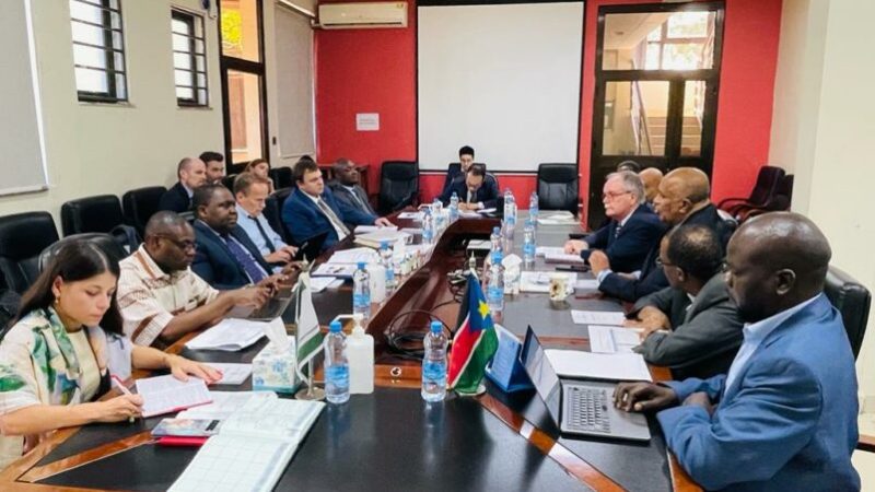 South Sudan Roadmap Far Behind Schedule, Says Peace Monitoring Body