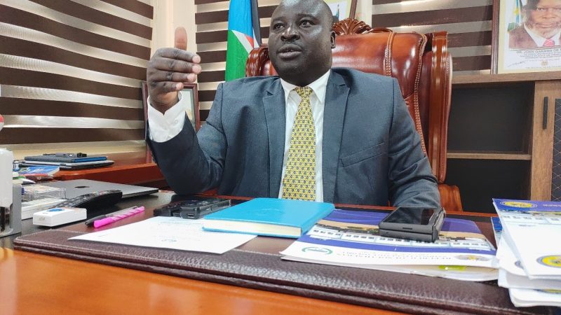 South Sudan: SPLA-IO Speaks Out on Political Party Registration