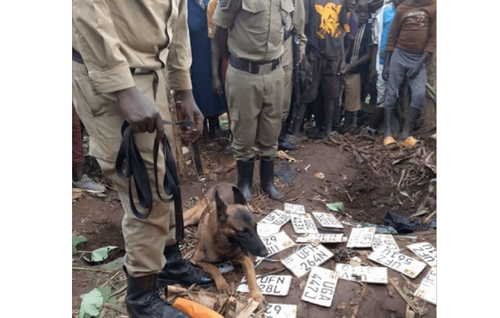 32 Stolen Motorcycle Number Plates Recovered from Banana Plantation