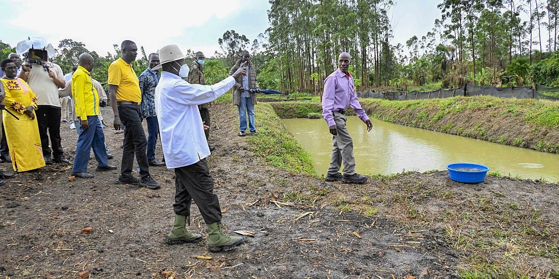 Embrace Fish Farming – Museveni To Bunyoro Farmers