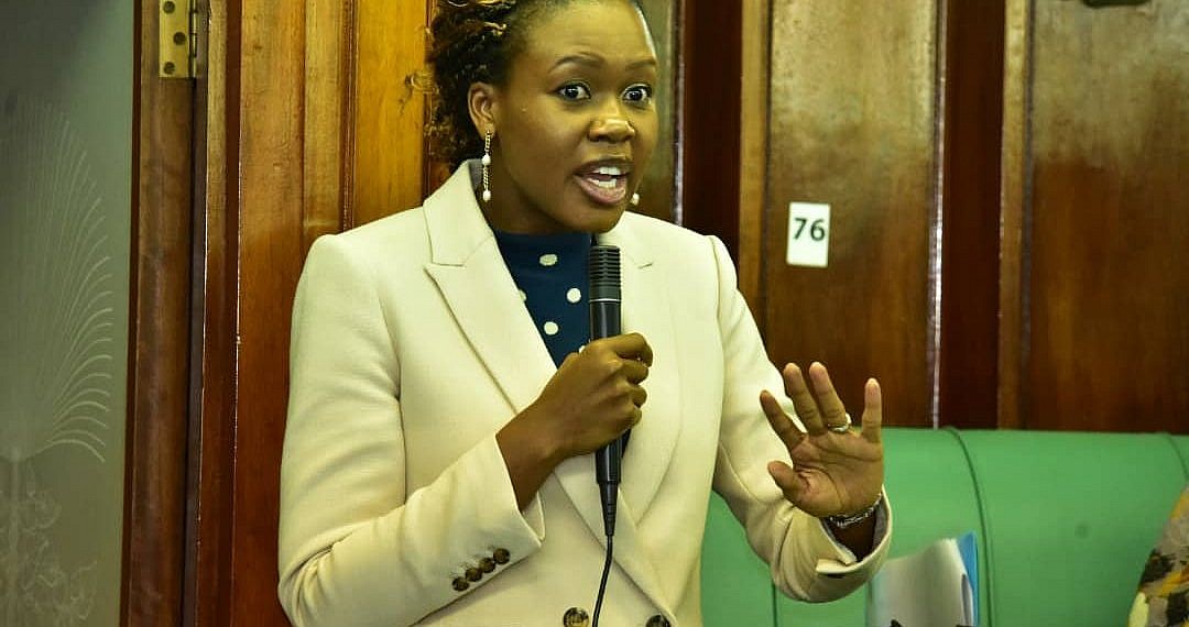 Shadow Minister Adeke Calls For A Reduction In Size Of Parliament