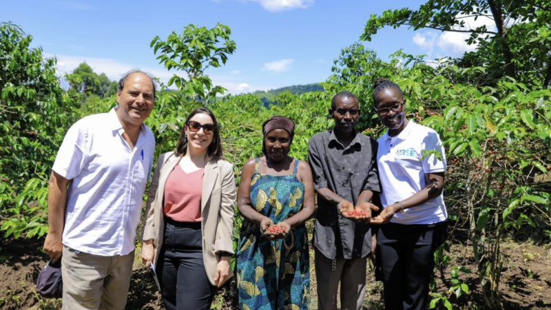 Rwenzori Mountains of the Moon Coffee Elevates Uganda’s Agricultural Exports