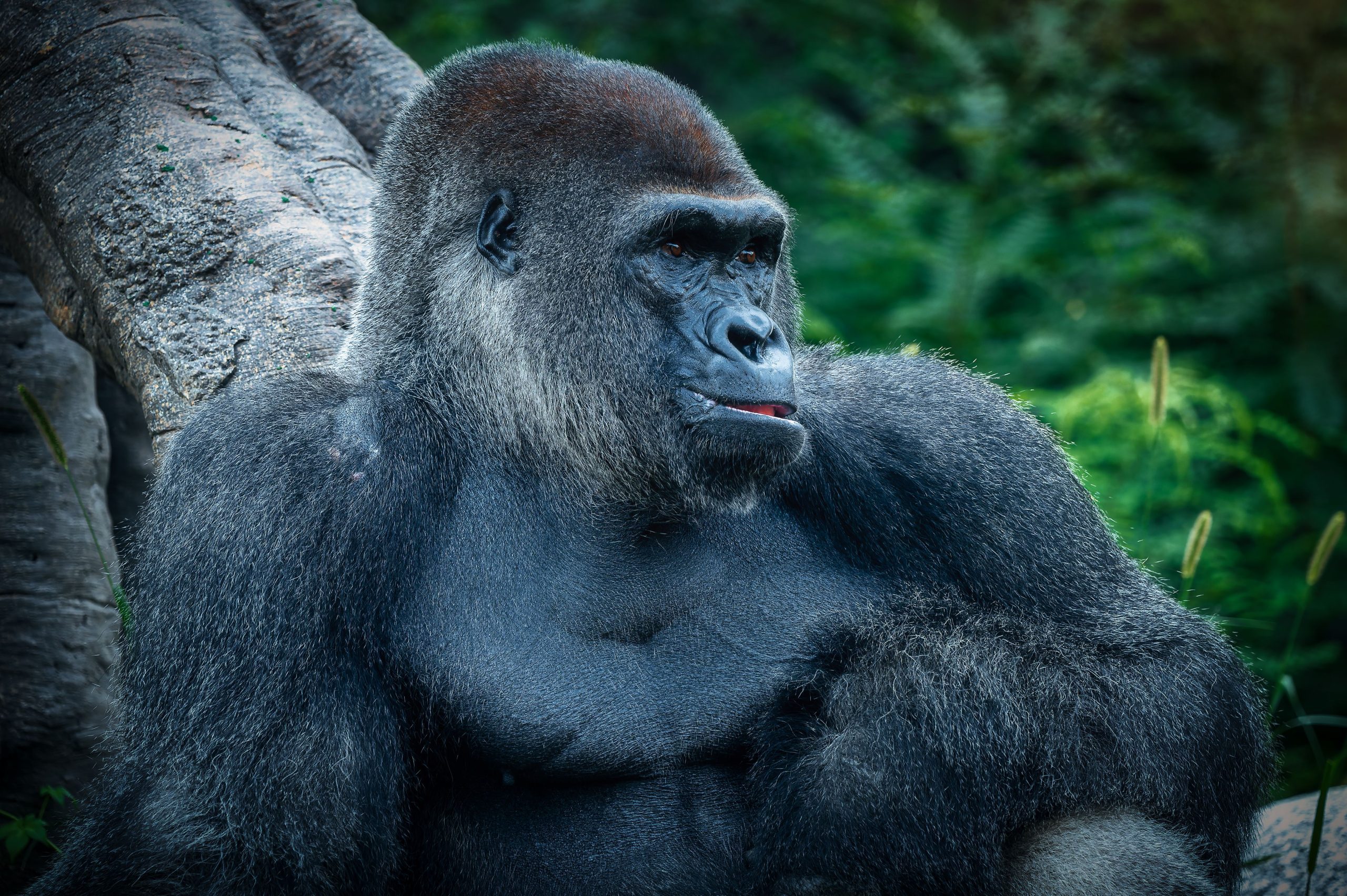 Uganda’s Hotels Go Digital: Reserveport Ushers in New Era for Hospitality