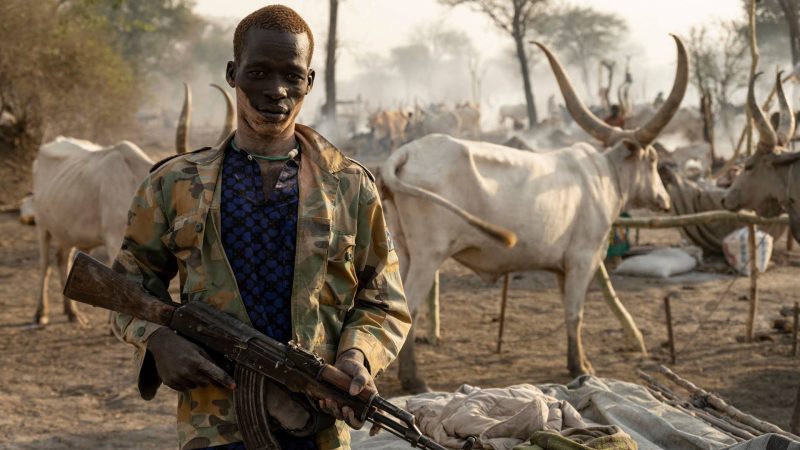 South Sudan: Five Killed in Cattle Raid Clash in Lake State