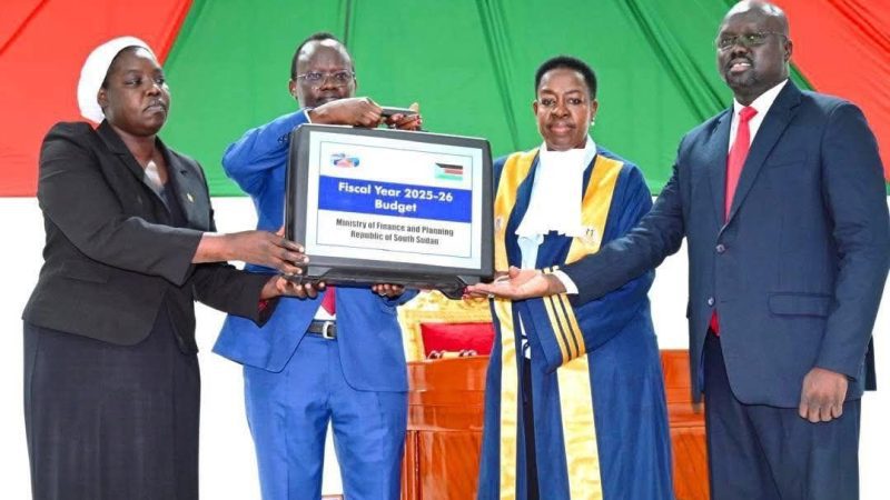 South Sudan Budget: Security Allocations Take Lions’ Share Amid Humanitarian Crisis