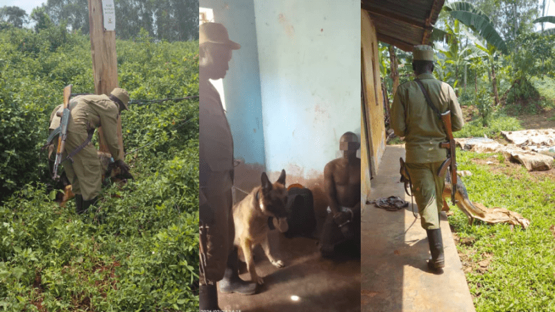 Two Arrested in Mukono for Vandalising Electricity Infrastructure