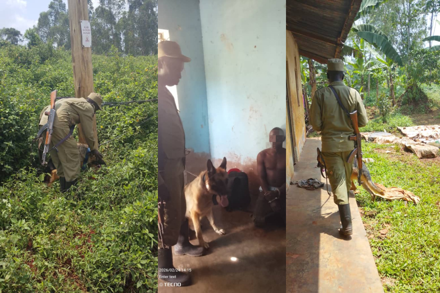 Two Arrested in Mukono for Vandalising Electricity Infrastructure