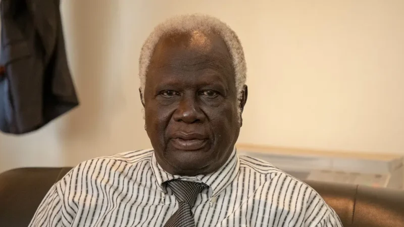 South Sudan Elections to Proceed as Planned –  NEC Chairperson Reassures