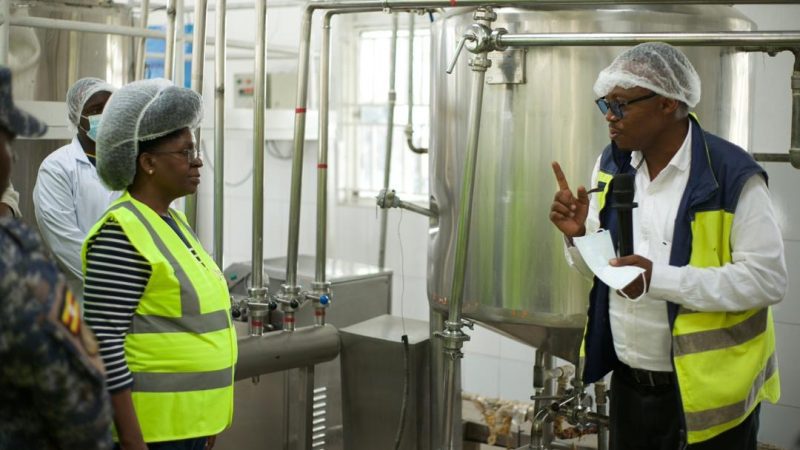 Katebe Farm Transformation Showcases Practical Power of Science and Innovation in Uganda’s Dairy Sector