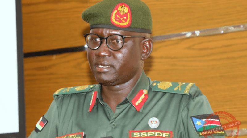 SSPDF Claims Capture of Strategic Akobo Town from SPLA-IO, Declares It Safe for Return