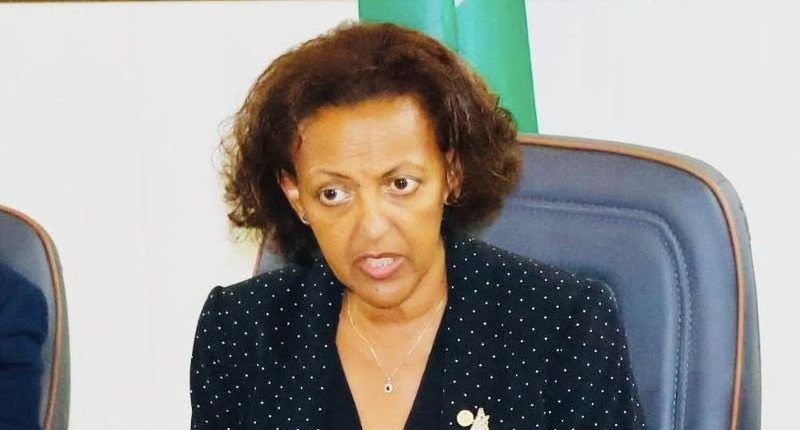 AU Team Assesses Peace Process in South Sudan, Plans to Issue Communiqué