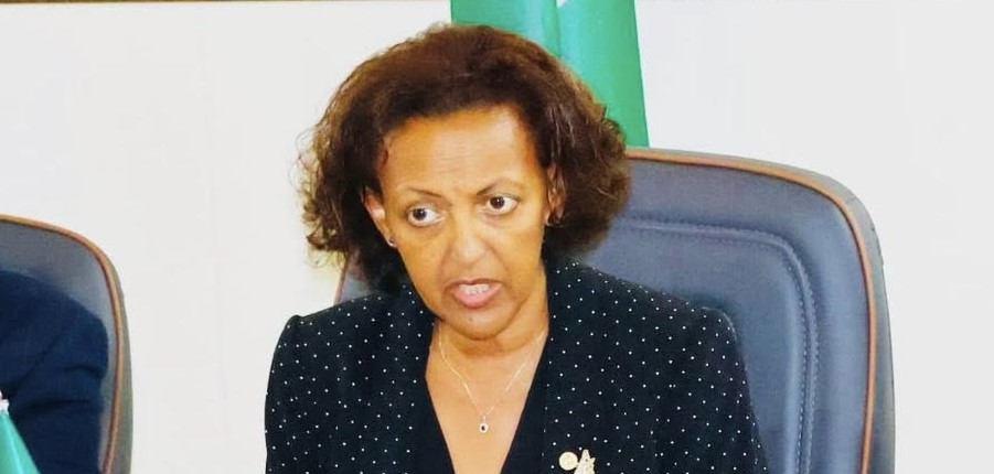 AU Team Assesses Peace Process in South Sudan, Plans to Issue Communiqué