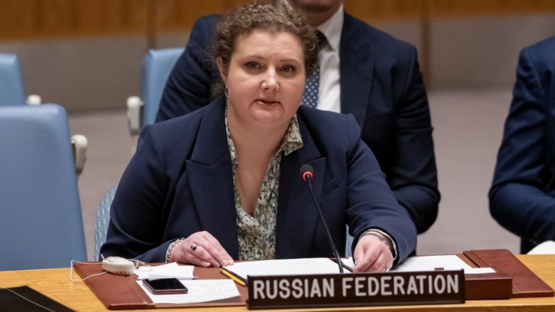 South Sudan Needs Assistance, Not Criticism – Russia Tells UN Security Council