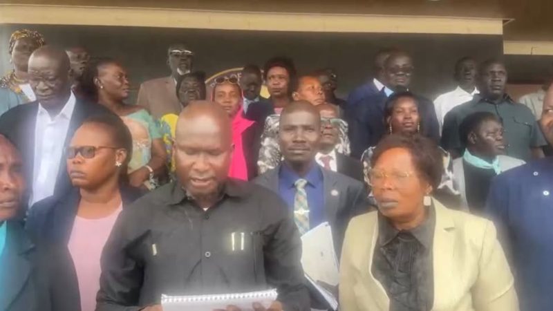 South Sudan: SPLM-IO Condemns Removal of 47 Lawmakers as Violation of 2018 Peace Deal